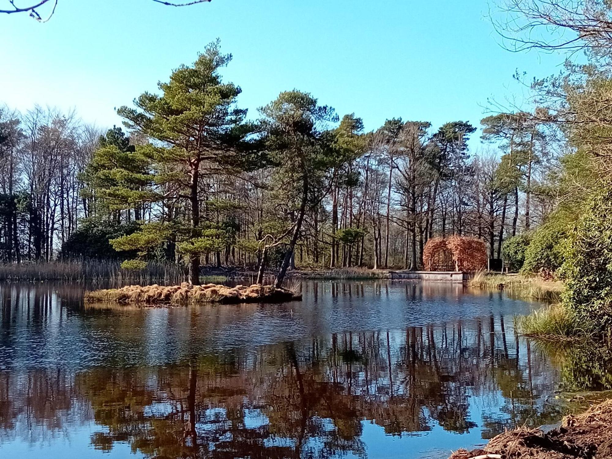 B&B Stripsein Wijnjewoude Екстериор снимка